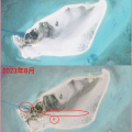 南海最新动态,中国坚定捍卫主权，多国支持与菲律宾对抗