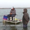 化绍新钓鱼视频,视频教学带你轻松上钩
