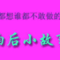 雨后小故事gif,温馨与感动的瞬间