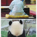 娱乐圈吃瓜群众的句子,揭秘明星幕后故事
