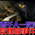 陕西夜狸猫事件,神秘消失的村庄与未解之谜