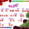 葡萄沟课件,自然奇观与人文风情