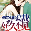 总裁的天价前妻全文免费阅读,前妻逆袭，总裁的深情救赎