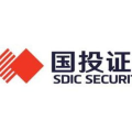 证券股份有限公司,业务运营与市场影响力概览